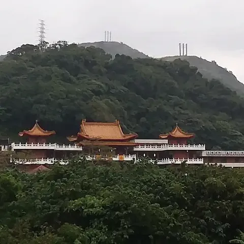 樹林福慧寺代表照片